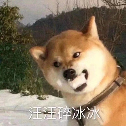 有没有老哥还没睡的，在干嘛呢

52 / 作者:恒社杜月笙 / 