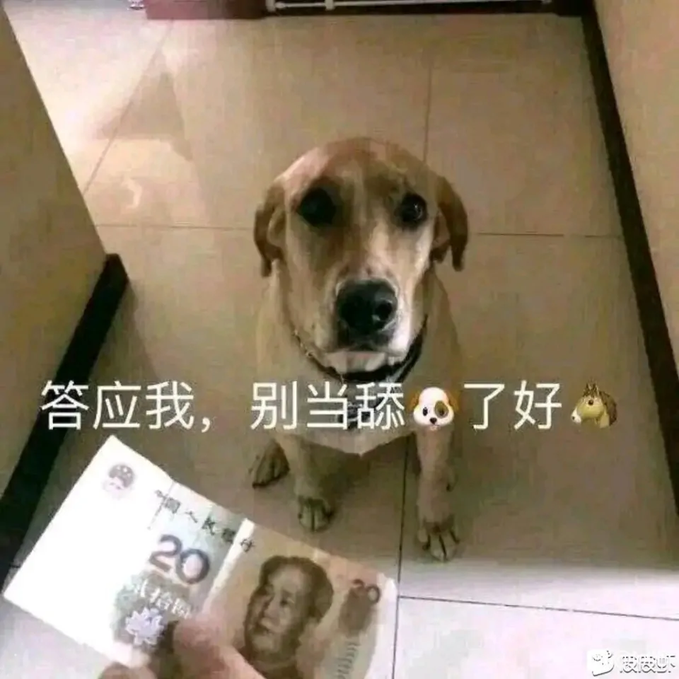 水

80 / 作者:旅途牛马 / 