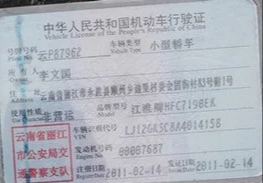 壁虎派找到图了，小号为什么不能领了
90 / 作者:九阿九 / 