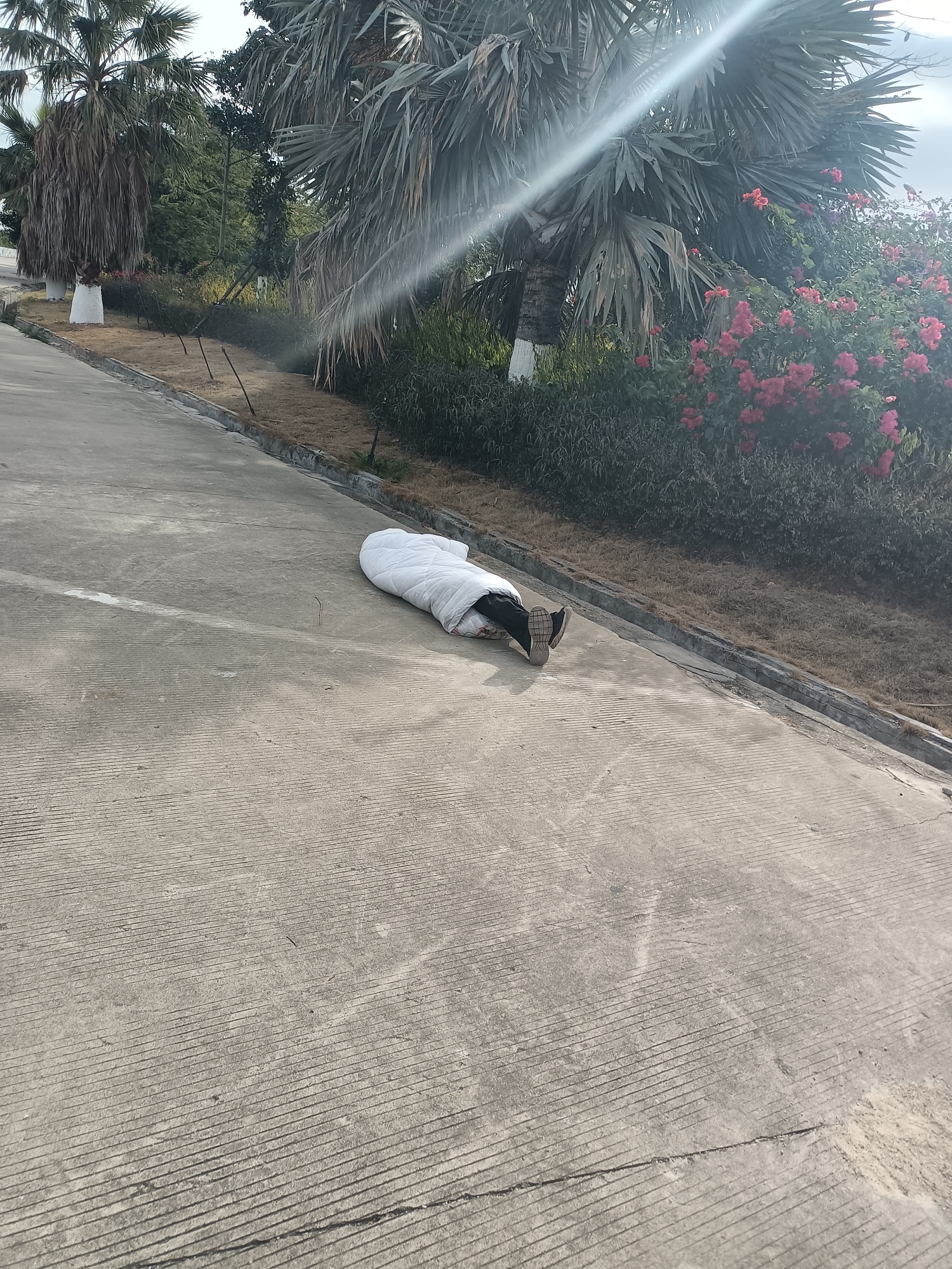 这才是真老哥，，懂得武装


63 / 作者:做合格老哥太累 / 