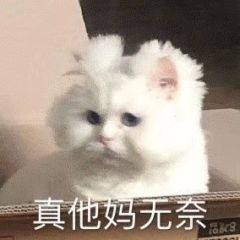 我以为我手机坏了，重启了一下，看网络也正常啊，怎么看不了贴

8 / 作者:红浪漫歌舞厅 / 