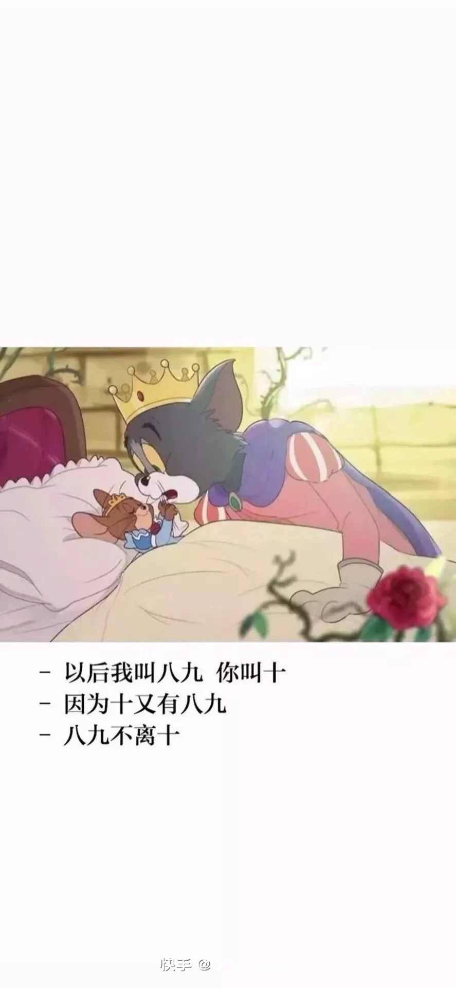水

31 / 作者:旅途牛马 / 