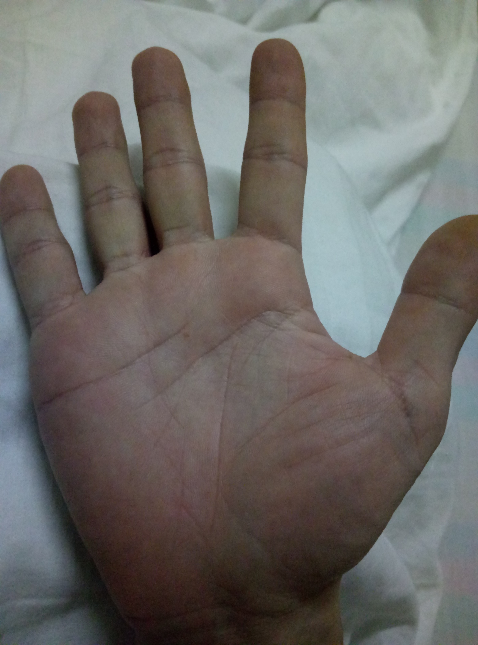 来了来了，又开始摆摊了。免费看手相，但是打赏的说得详细点
19 / 作者:包子哦 / 