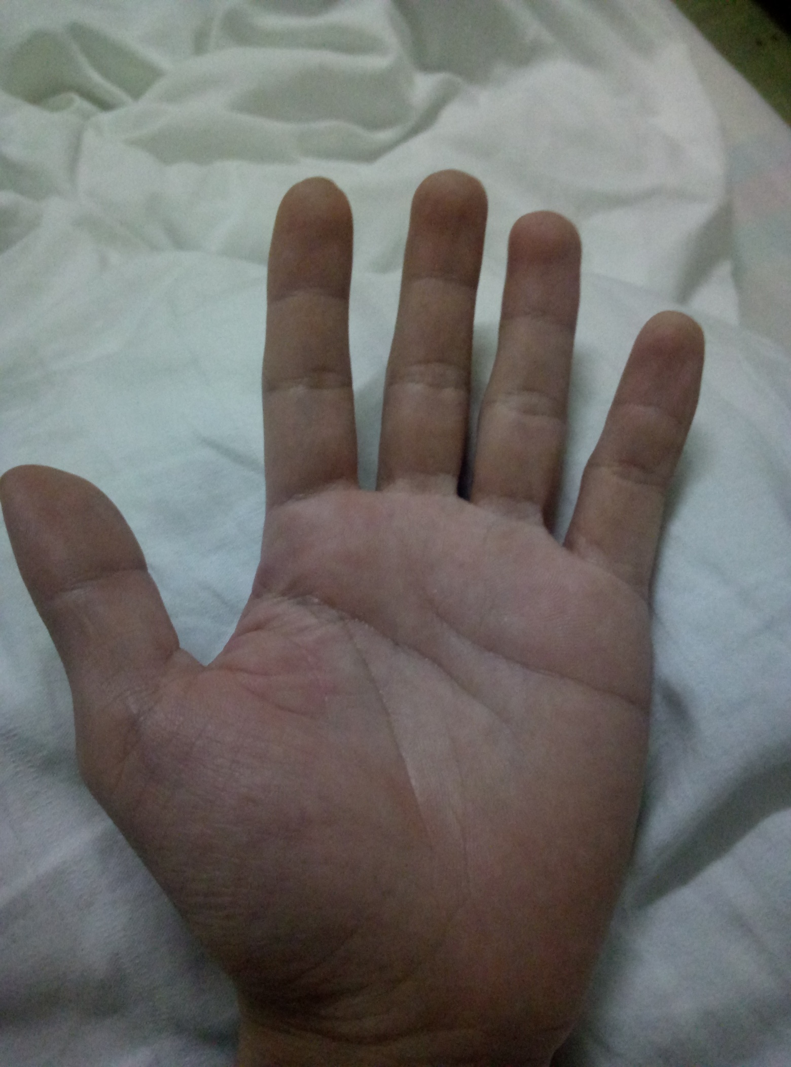 来了来了，又开始摆摊了。免费看手相，但是打赏的说得详细点
49 / 作者:包子哦 / 