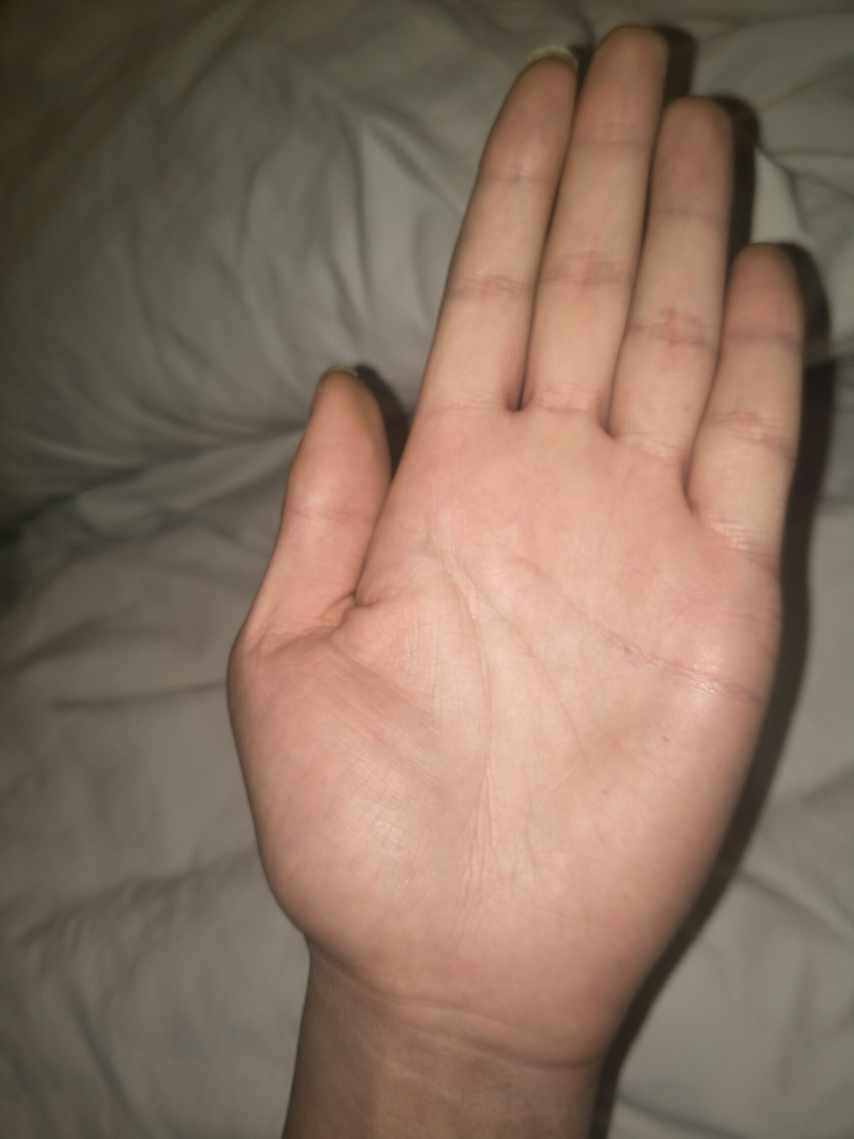 来了来了，又开始摆摊了。免费看手相，但是打赏的说得详细点
74 / 作者:qq1136290249 / 