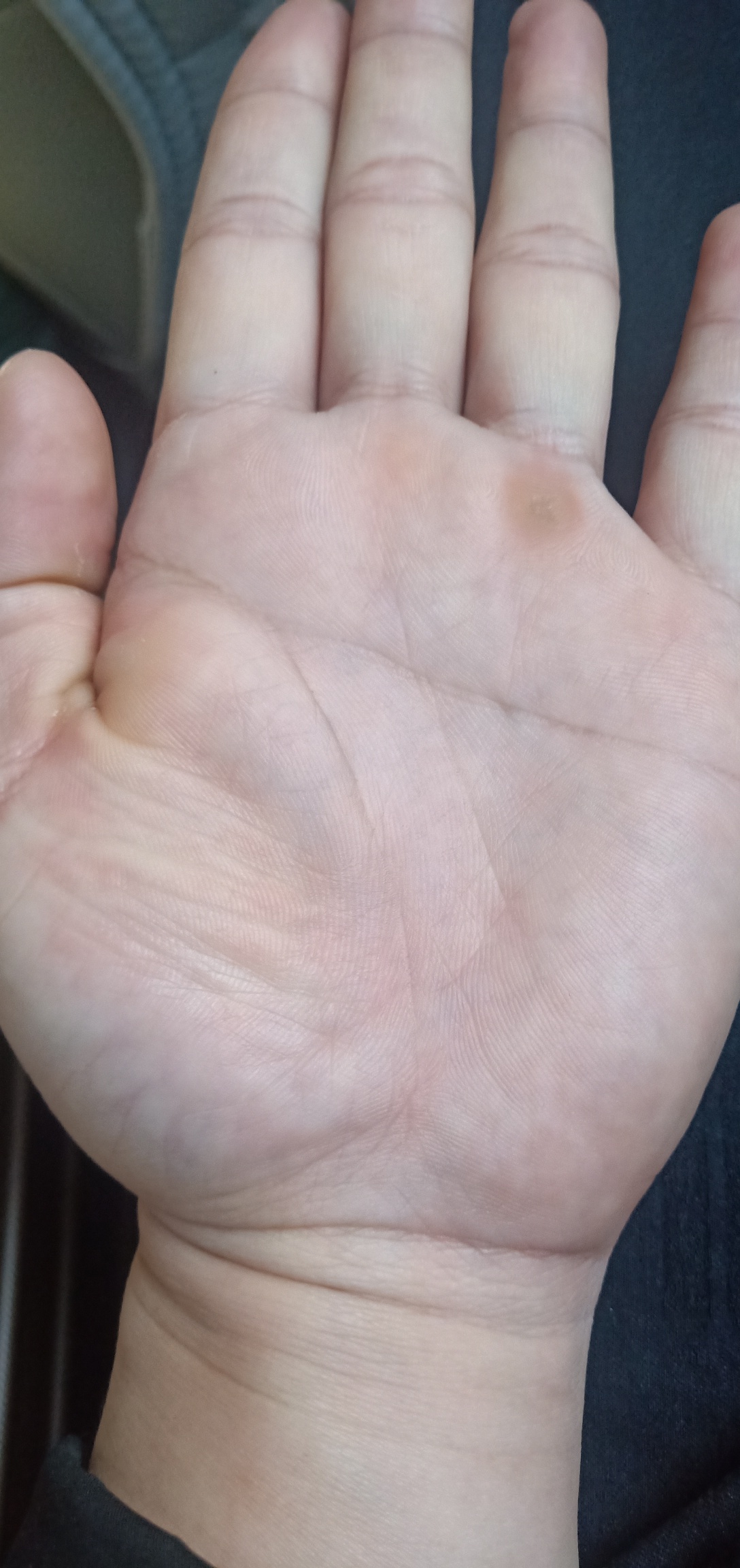 看手相的老哥业务来了，来瞧瞧我的这怎么样，尽管实话实说，我能接受


48 / 作者:他明白他给不起 / 