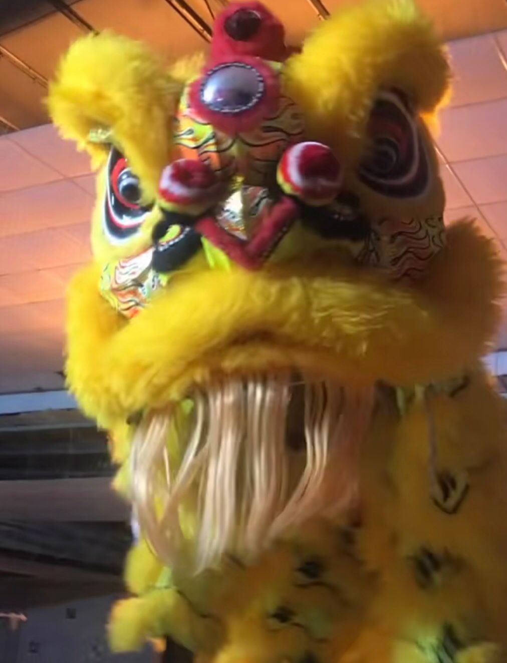 最近好累。又要训练又要出场。哎人生不易。但累总有累的收获。加油。







38 / 作者:爱心神灯 / 