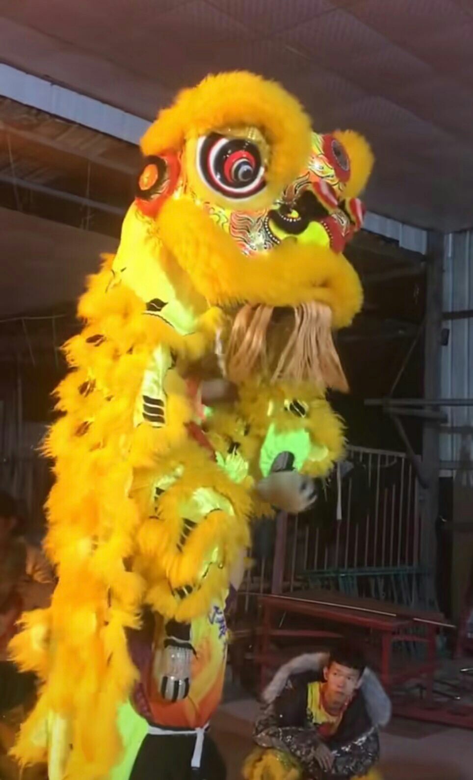 最近好累。又要训练又要出场。哎人生不易。但累总有累的收获。加油。







93 / 作者:爱心神灯 / 