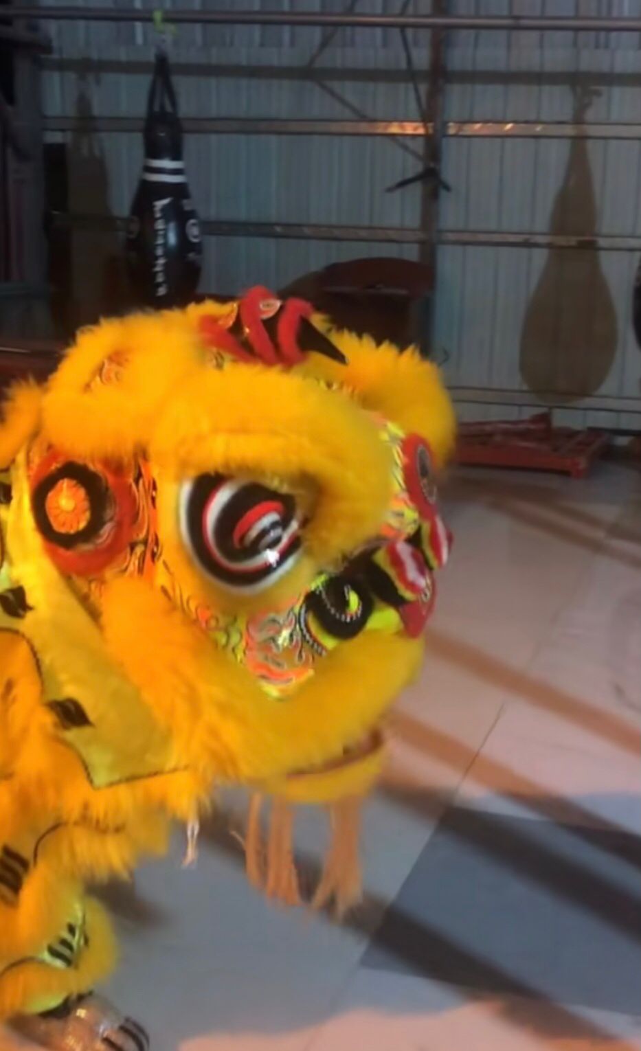 最近好累。又要训练又要出场。哎人生不易。但累总有累的收获。加油。







45 / 作者:爱心神灯 / 