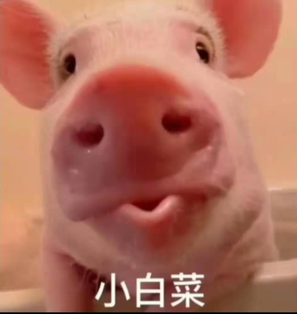 好无聊啊

42 / 作者:鲁大王。 / 