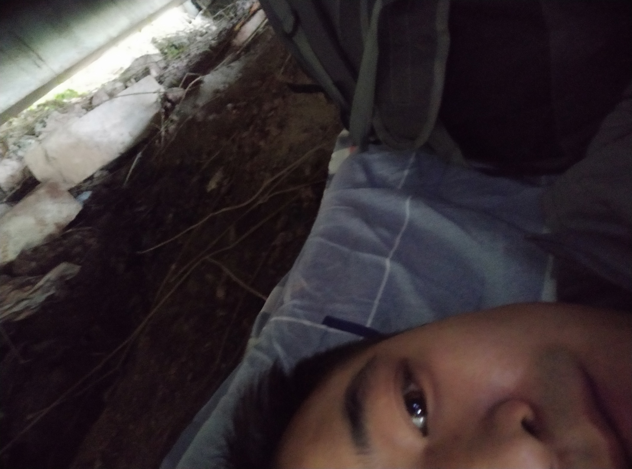 有没有老哥帮帮我一天两夜没吃东西没睡了今天路上捡的被子找个桥洞睡