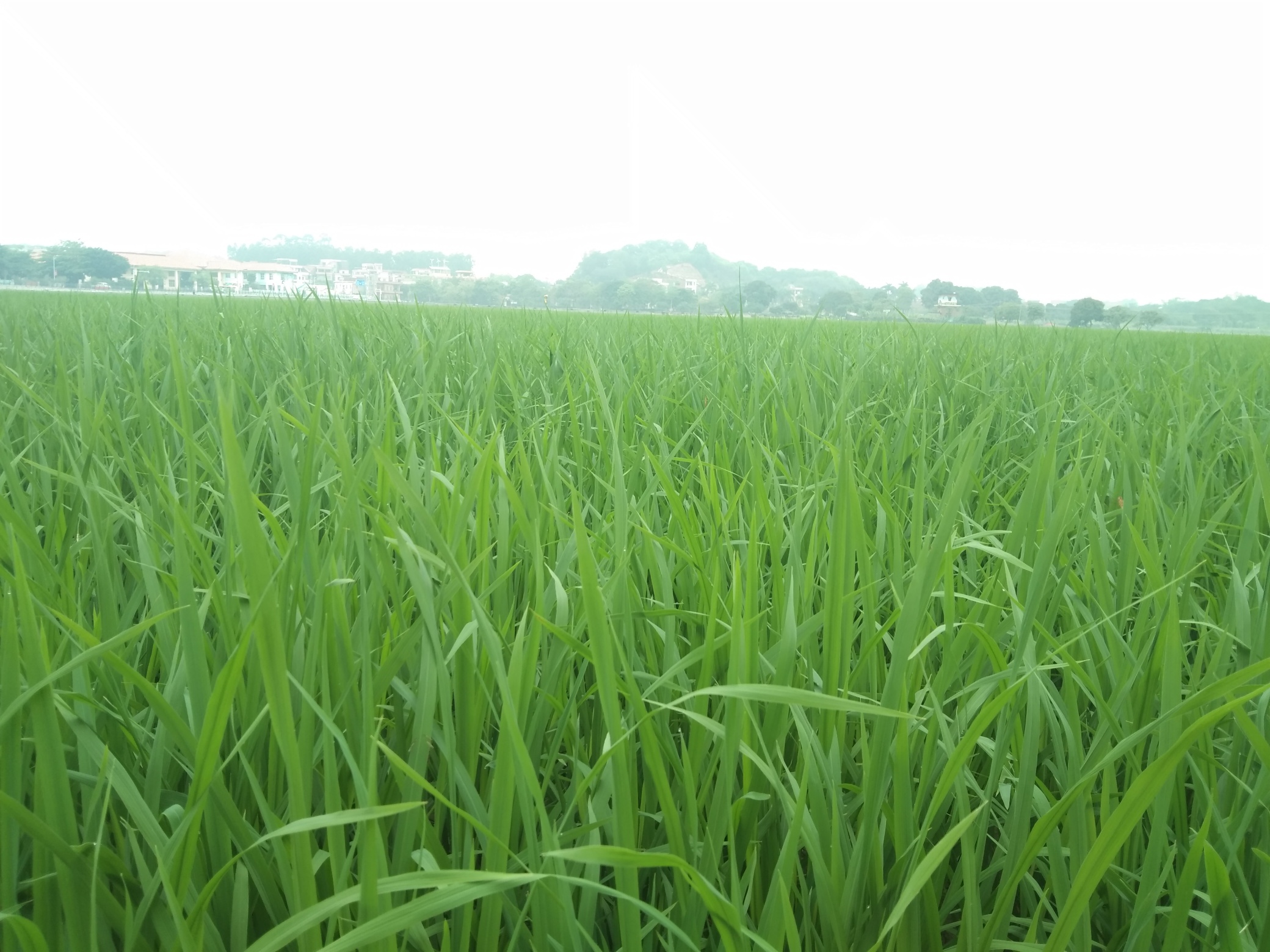 打卡

5 / 作者:敗北· / 