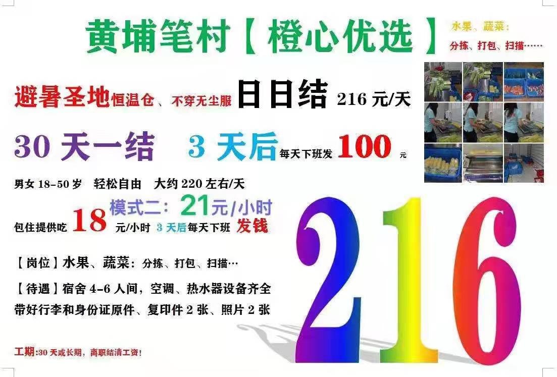 以后请叫我菜农

34 / 作者:晓时光 / 