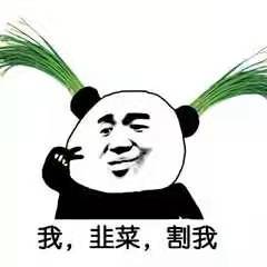 打卡

20 / 作者:敗北· / 