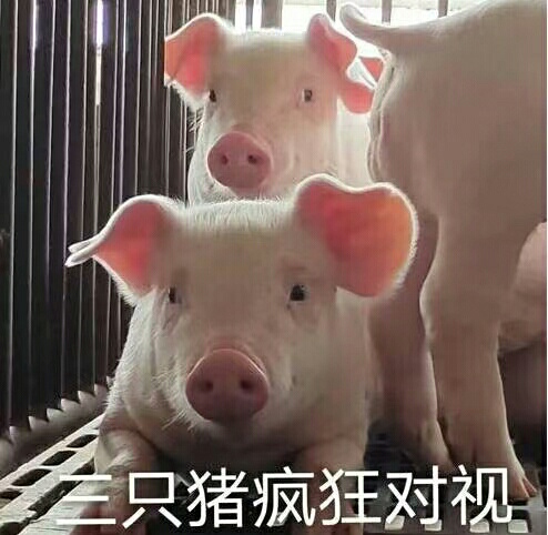 京东白条怎么T啊，兄弟们，我也开通200了

8 / 作者:修身养888 / 