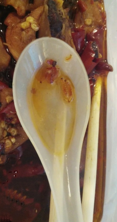 老哥们，我刚才搞了个美团差评，老板会联系我的吧





16 / 作者:Q3118265917 / 