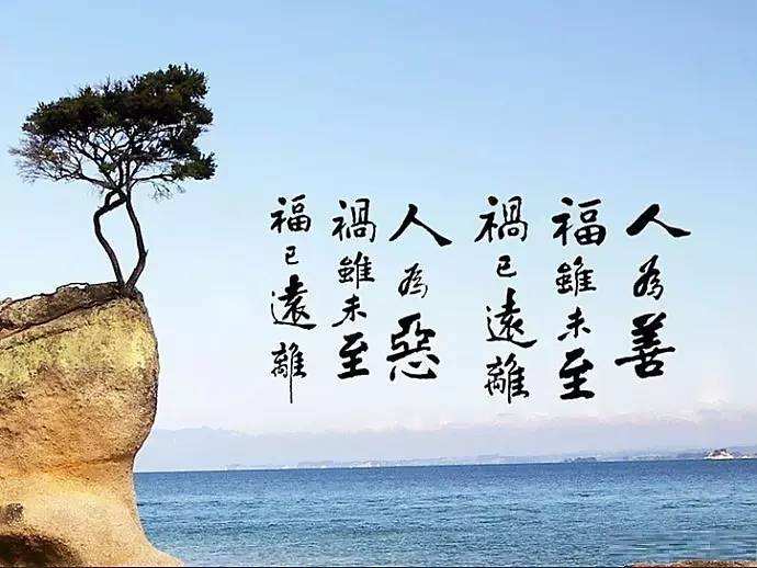 天天卡农老哥被骗的事，真老哥就是因为卡农这些骗子多了变得乌烟瘴气慢慢寒心都走了吧7 / 作者:烟雨大叔 / 