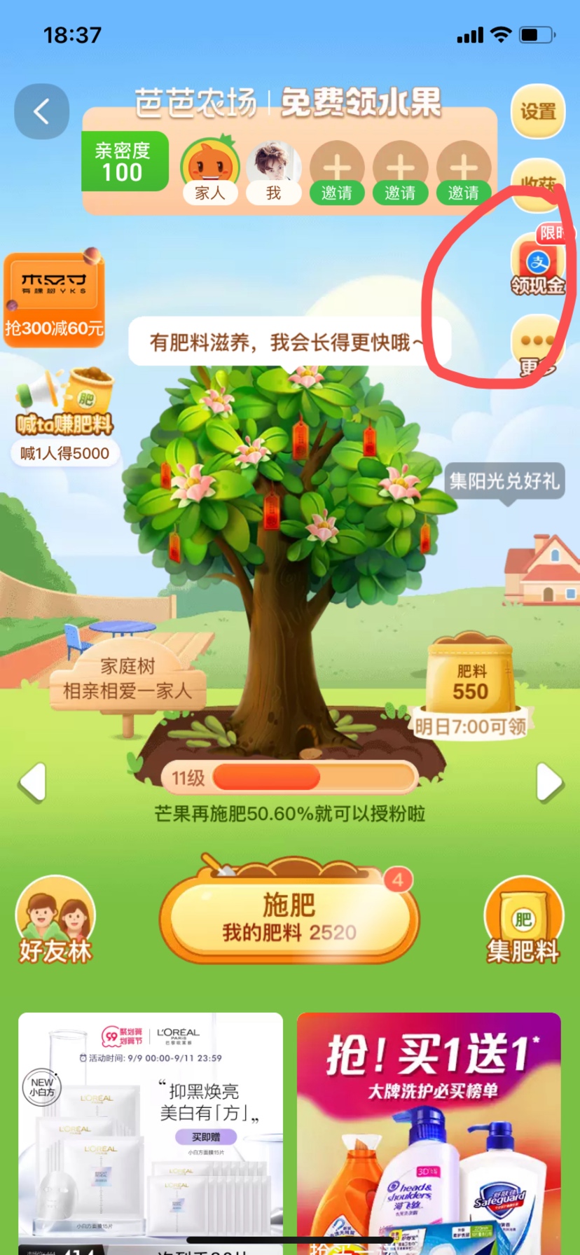 淘宝新活动，会放单的500+，提现秒到，速度




82 / 作者:暮色四合 / 