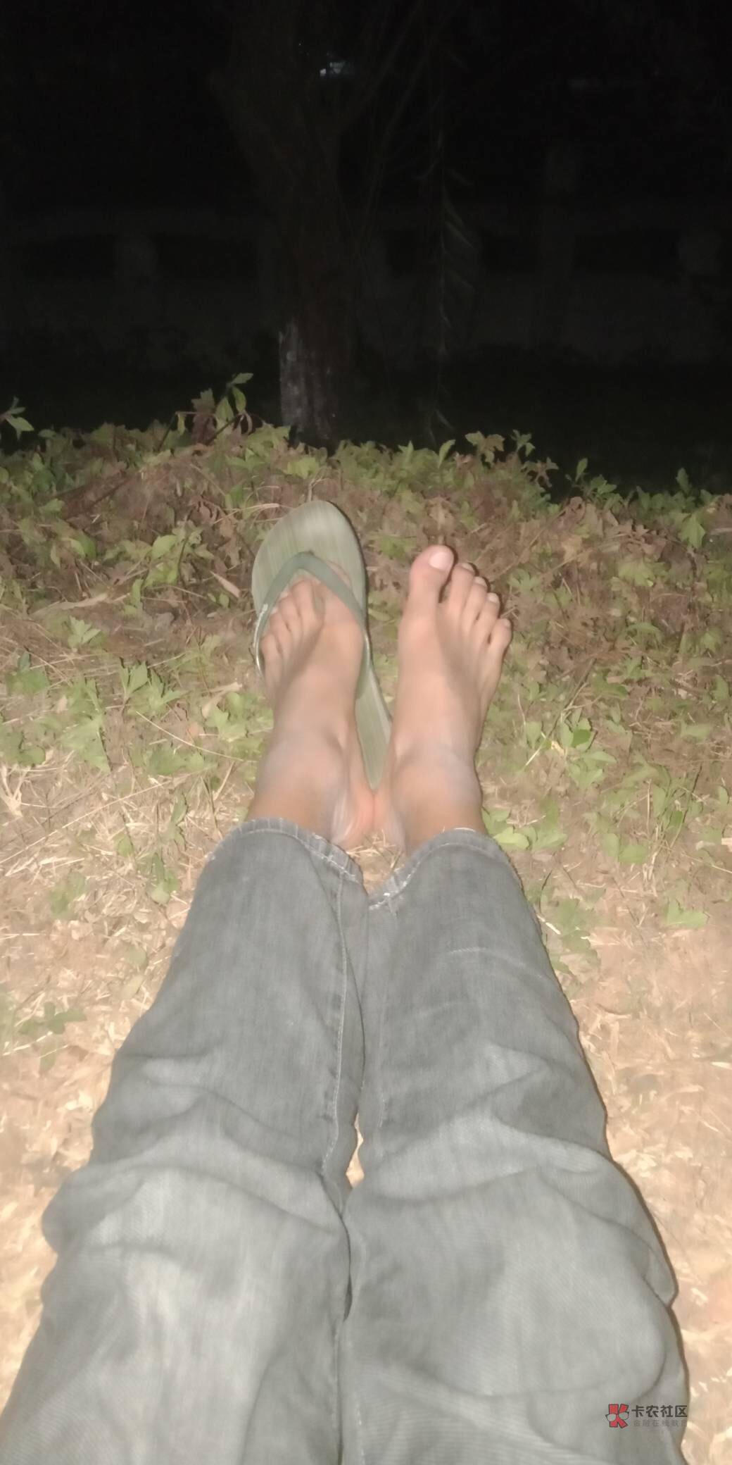 我该何去何从！网吧又去不了

9 / 作者:娇娇1122 / 