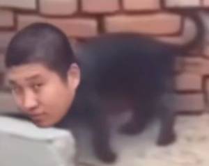 八毛收25颗芝麻粒，真没钱了




39 / 作者:酸辣土豆丝3 / 