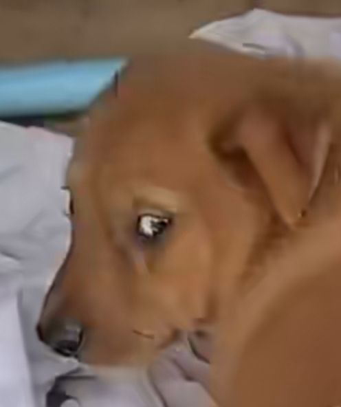 八毛收25颗芝麻粒，真没钱了




16 / 作者:酸辣土豆丝3 / 