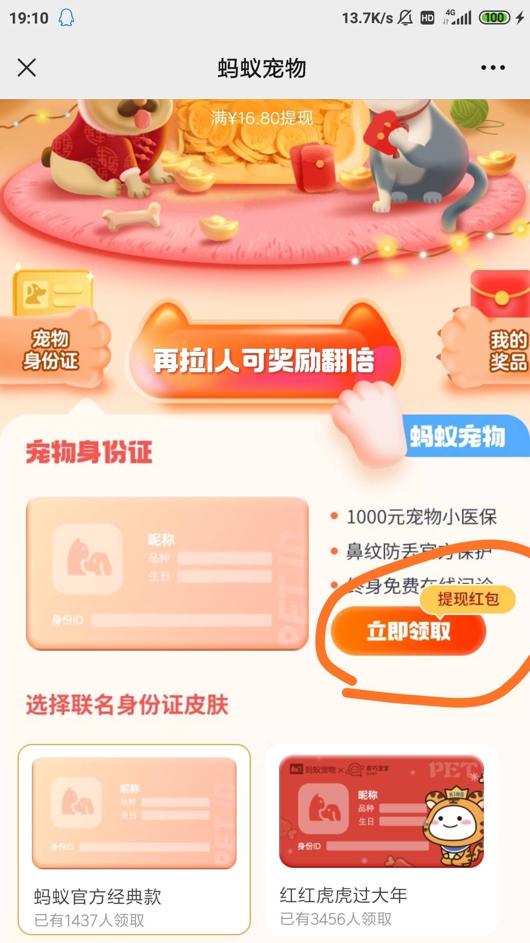 分享撸，三毛，撸过的老哥别喷，微信关注公众号蚂蚁宠物服务，在扫码进去它发的图或右88 / 作者:奥黛 / 