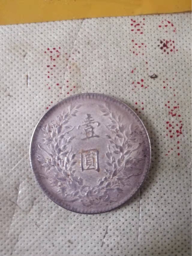 来来来懂行的老哥们来给我分析一下，想撸一个大毛不知道可不可以这些东西








99 / 作者:江hj / 