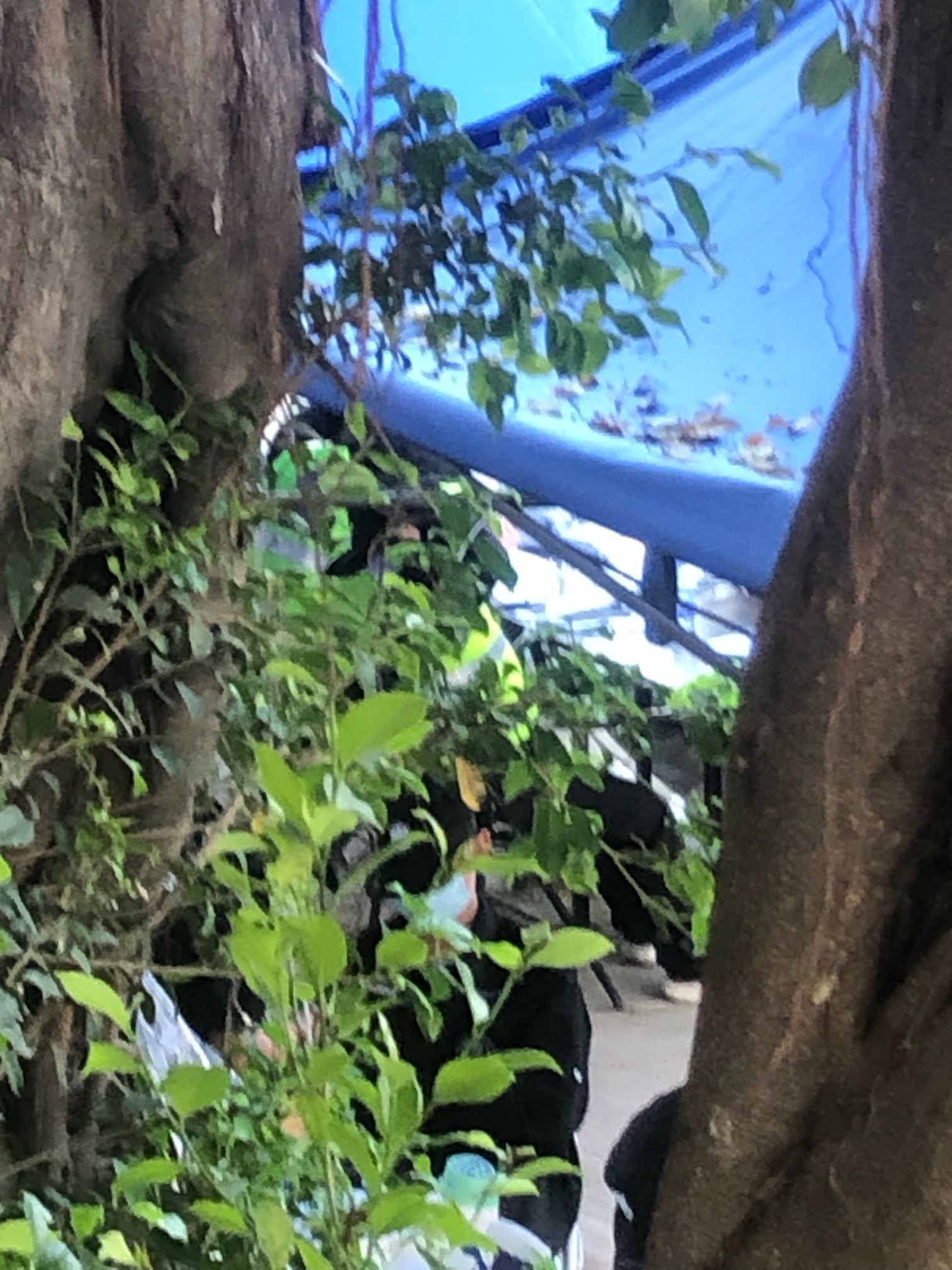 凌晨两点左右就把点撤下来了，警察也走完了，躺着玩着到早上，早餐也木有人了东莞也回56 / 作者:烟圈九州 / 