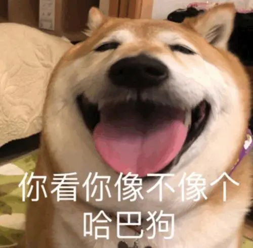 各位老哥们，离上岸还有一点点，最后一个帖子离开这了，希望各位老哥都能离开这里，环49 / 作者:hghg580 / 
