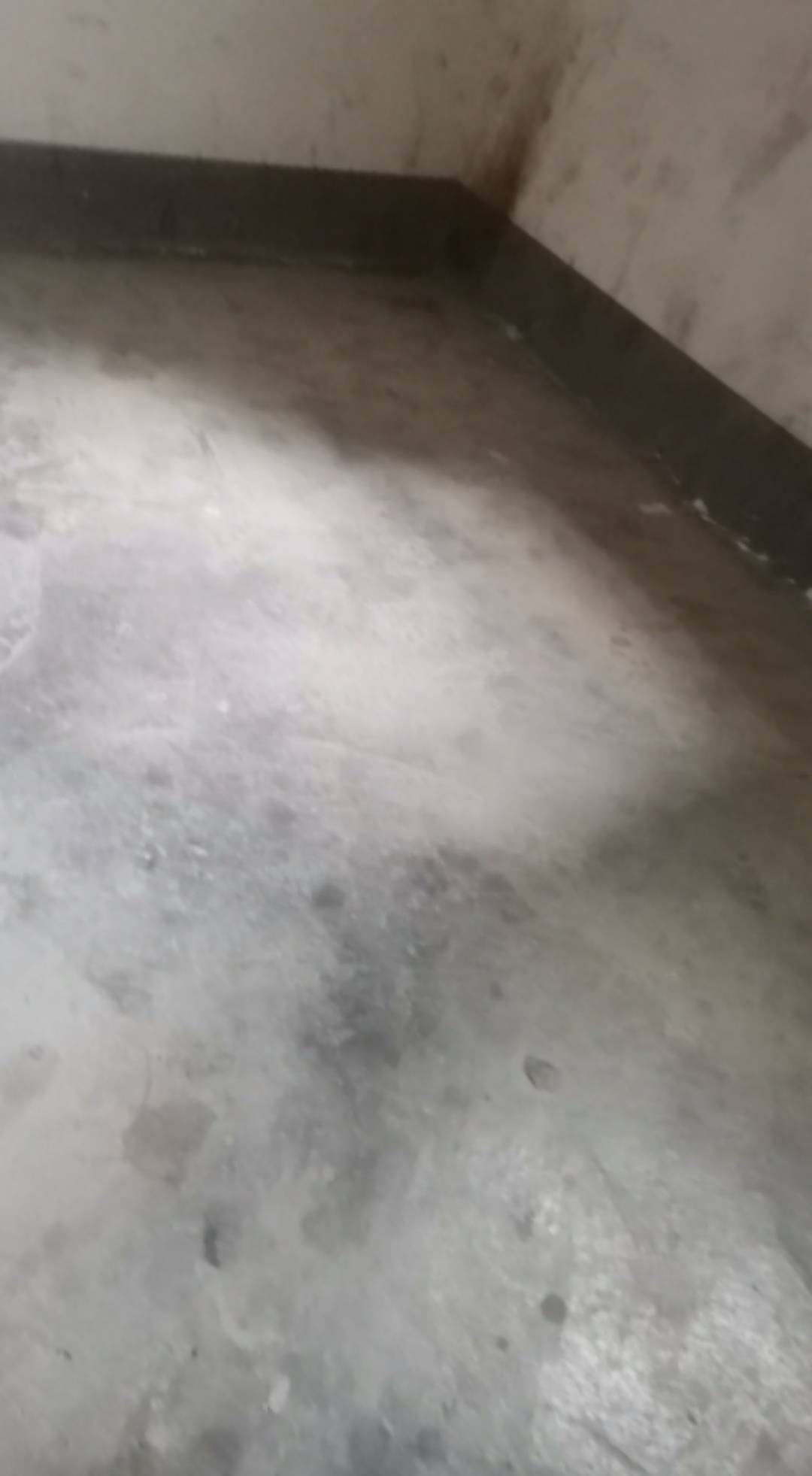 昨天早上五点离开家，可以说是被赶出来了，六点到公园里的破旧房子睡地板睡了三个小时99 / 作者:谨言慎行123 / 