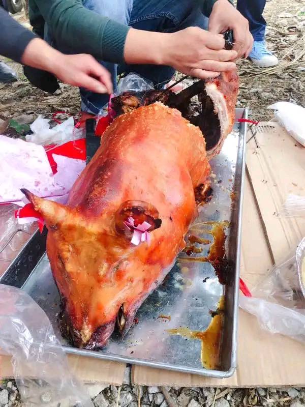 今天一大早就去山上撸毛.我们这边人们这是祭完祖就席地分吃食物的。厚着脸皮跟着村里10 / 作者:赖达吉 / 