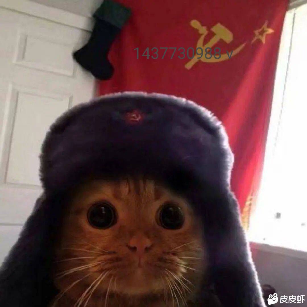 没人要外卖卷了吧
89 / 作者:两处相思同沐雪 / 