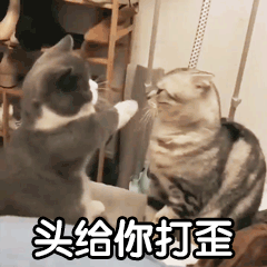 唯一现在买十个藏品，领取预约资格，让后赠送给小号，再继续预约，在继续送，然后再卖21 / 作者:对生活失去希望 / 
