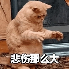 深圳超级猩猩终于出了

57 / 作者:浅时光 / 