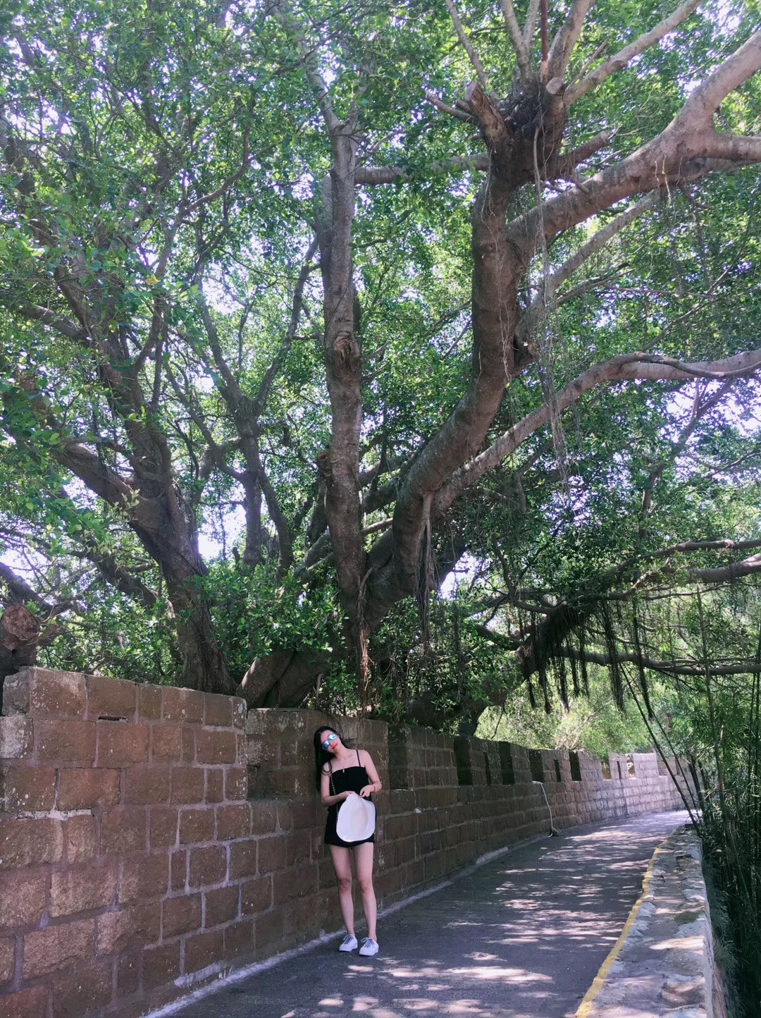 重庆不行，缴费毛那么便宜收的，现在缴费除了老农还有哪里能便宜交！是浙江的水电我肯2 / 作者:Sunny、晴 / 