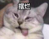 没老哥说下
大妈两个10在哪领
都在偷偷撸？

53 / 作者:撸毛小队侦查员 / 