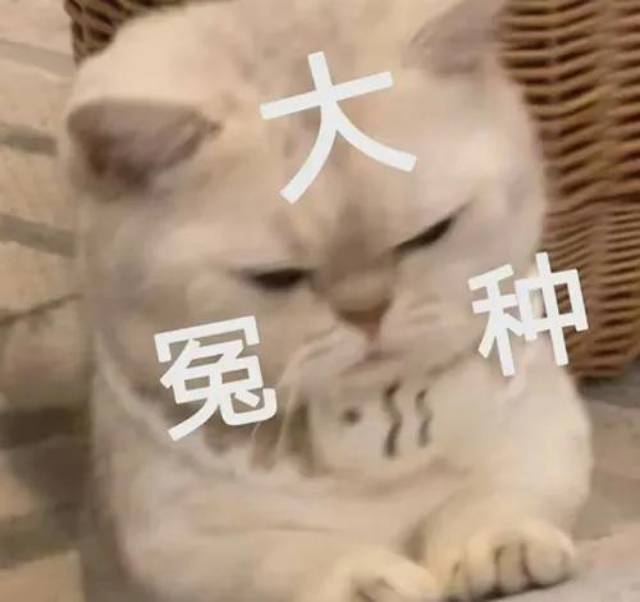唉，败家子搞得一无所有。连个几块钱都没有。苟延残喘的活着。有没有人告诉我，意义何89 / 作者:卡农~南同学 / 