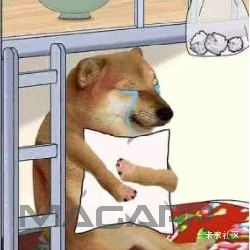 江西工资单更新了


43 / 作者:我是个伞兵兄弟 / 