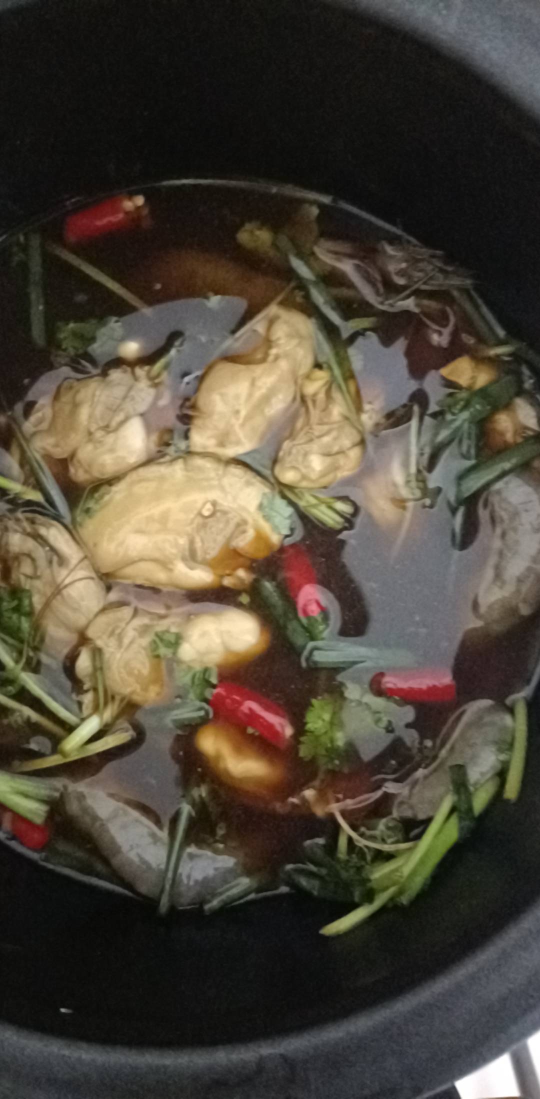 在抖音学的潮汕毒药，吃了会不会上蹿下跳啊老哥们

51 / 作者:君子好逑998 / 