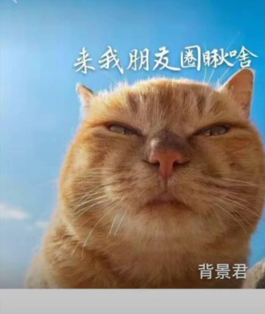 打卡

93 / 作者:霸王别坤 / 
