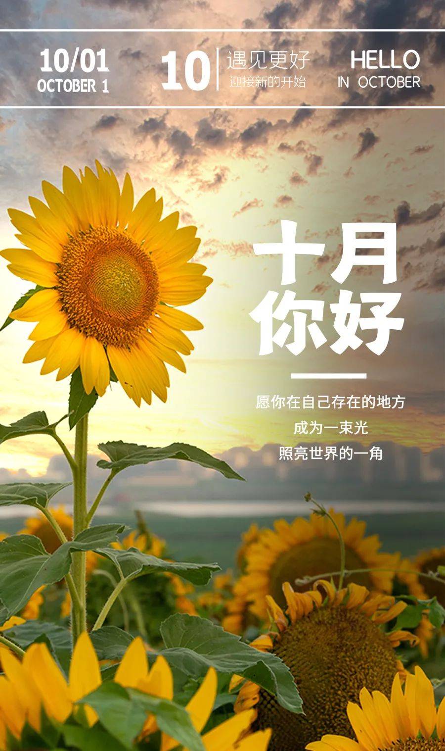 老哥们收个刮胡刀，谁领的建行买刮胡刀了不用了喊我，便宜收一个，

14 / 作者:贺宝 / 