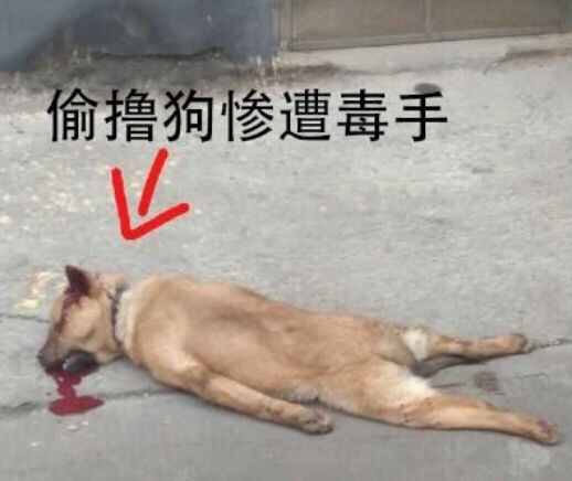 才领了50几张就上限了

28 / 作者:54088啊 / 