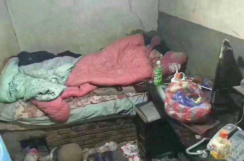 应该是没毛了，吃着永辉昨天刚到的板栗自己煮熟了还不错，外面卖的炒的板栗根本没法比49 / 作者:樱花劫 / 
