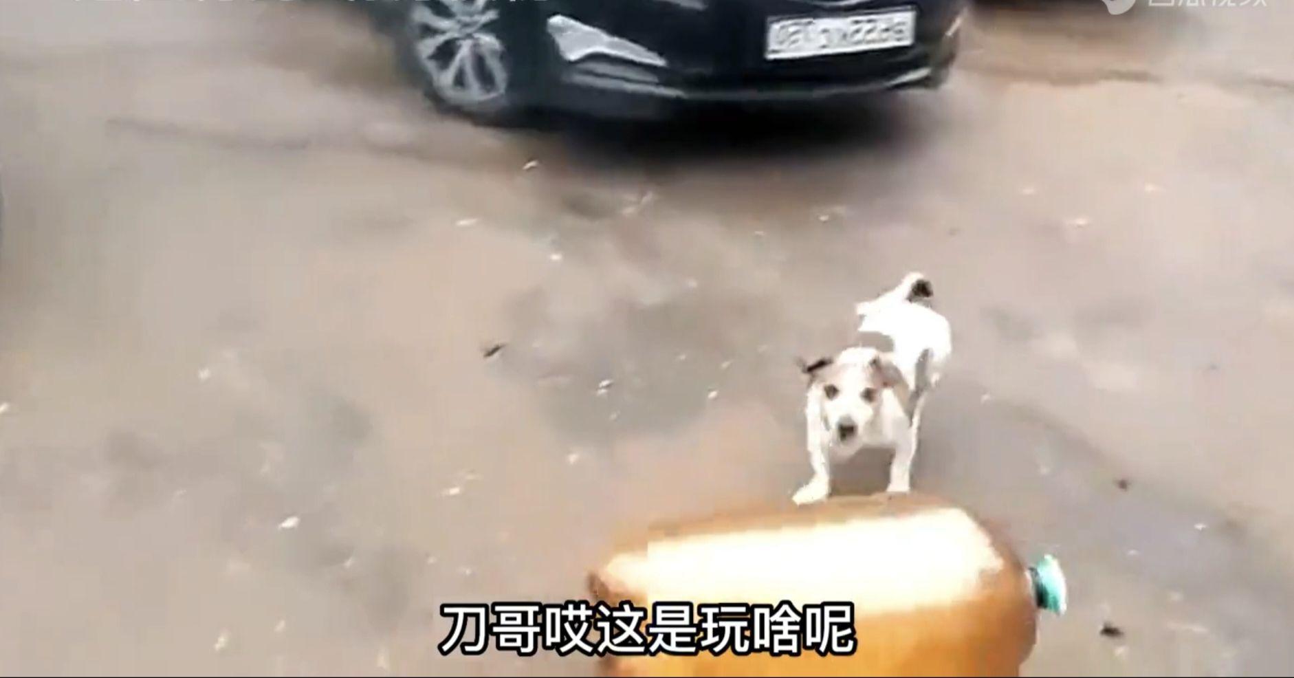 睡了4个小时，梦里全是88，醒来还在发，你们这帮刀哥，我崩.你们

48 / 作者:拜托了夫人 / 