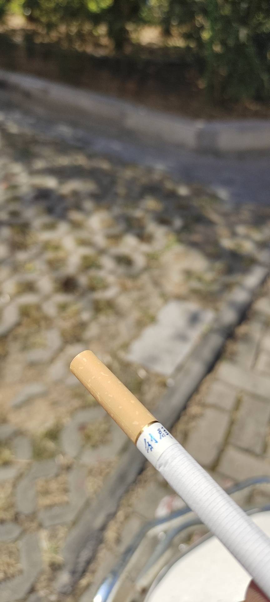有可乐有烟。没有钱(>﹏


92 / 作者:再见了我的青春 / 