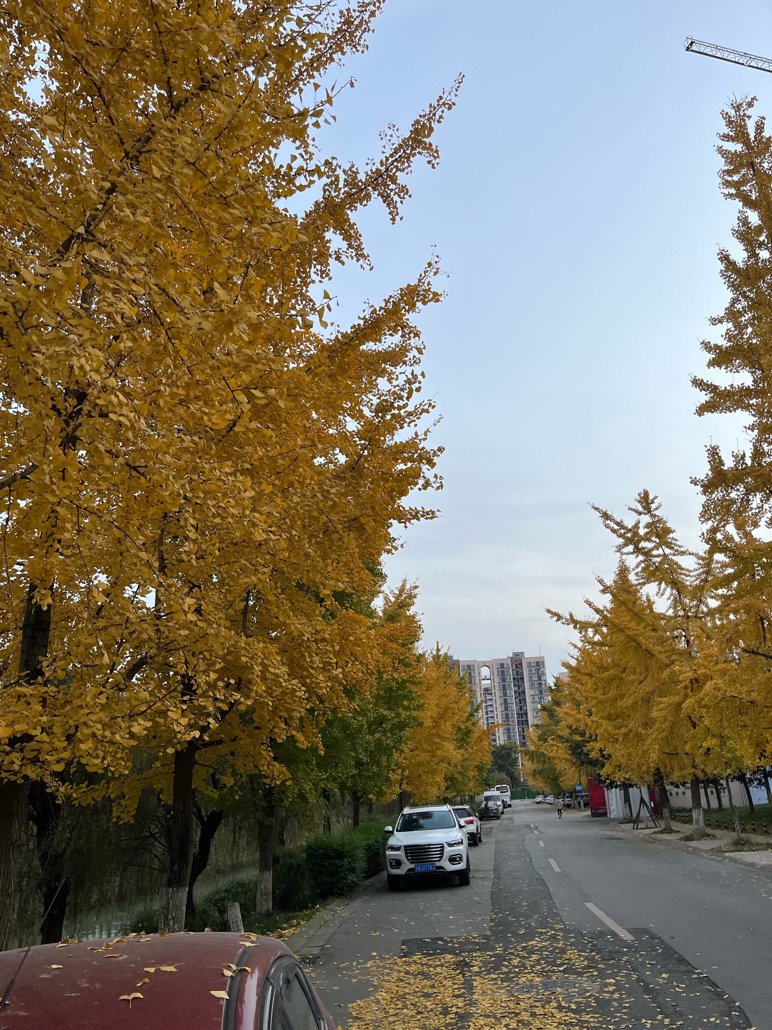 微信实名注销多少次会提一年大礼包啊？

33 / 作者:没啥意思啊 / 
