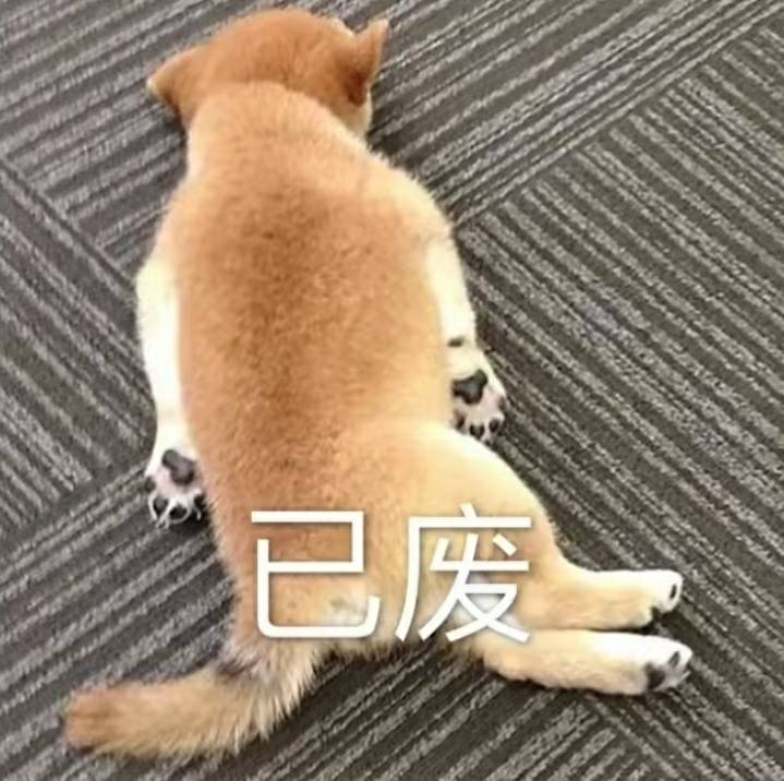 老哥们，银盛的商家收款码，能不能T娇娇的支付券

81 / 作者:撸毛先锋一摇摇肆 / 