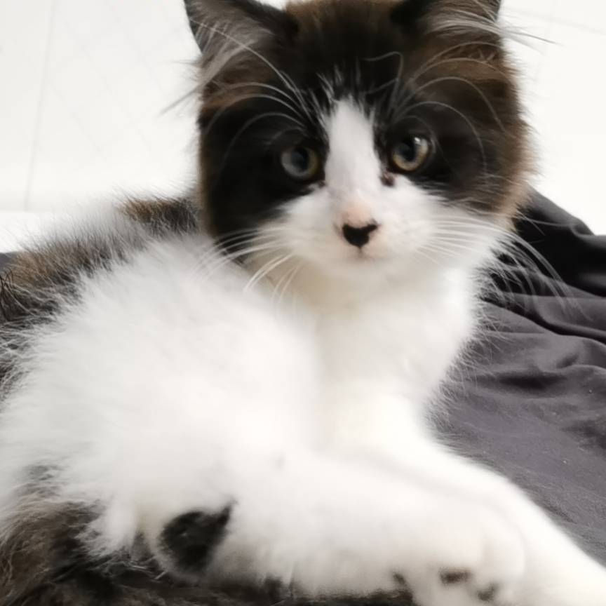 删帖了

66 / 作者:随你便 / 