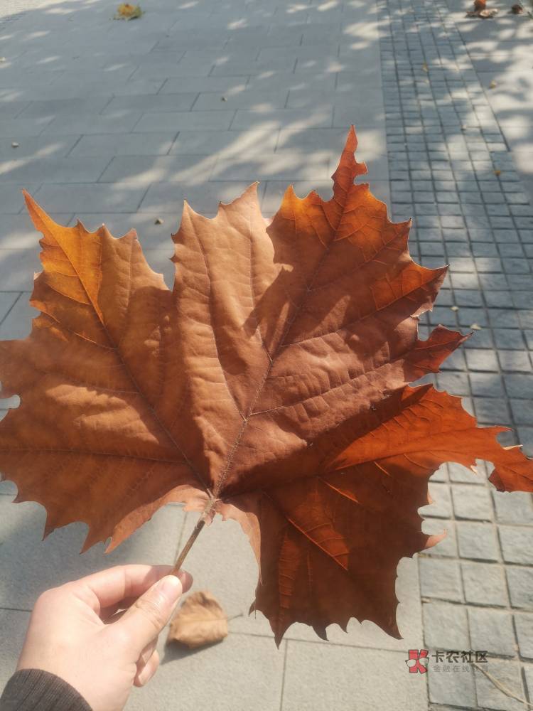 帮报清潭一

32 / 作者:大风起兮云飛扬 / 