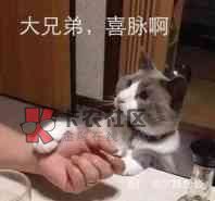 薅了这么久毛最大的一笔

78 / 作者:薅羊毛来了 / 
